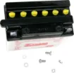 Yumicron Battery