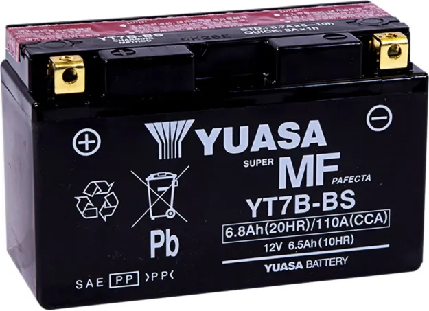 AGM Maintenance-Free Battery