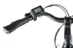 Slika LEADER FOX NEBA 28" ELEKTRIČNO MESTNO KOLO 540WH ČRNO