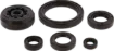 Oil Seal Kit