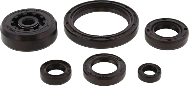 Oil Seal Kit
