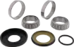 Steering Stem Bearing Kit