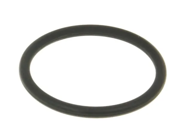 Exhaust Gasket