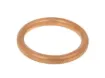 Exhaust Gasket