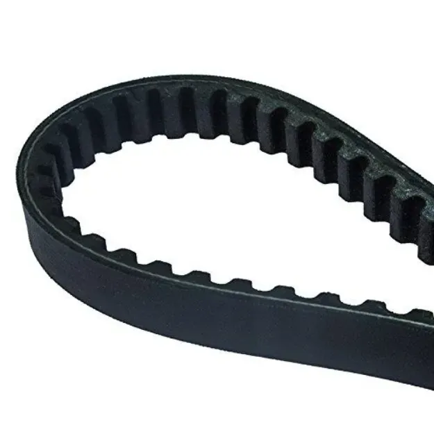 Drive Belt