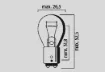 Filament Bulbs