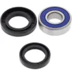 3-Wheel Steering Stem/4-Wheel Lower Steering Stem Bearing Kit
