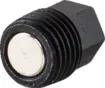 Engine Drain Plug