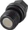 Engine Drain Plug