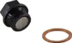 Engine Drain Plug