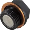 Engine Drain Plug