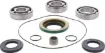 Differential Bearing/Seal Kit
