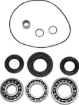 Differential Bearing/Seal Kit