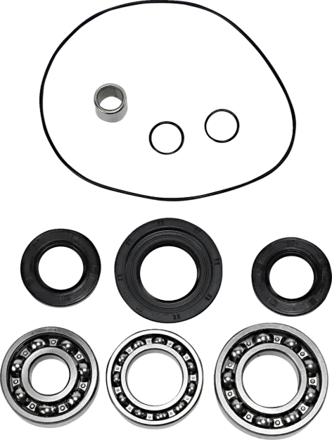 Differential Bearing/Seal Kit