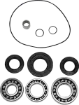 Differential Bearing/Seal Kit