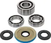 Differential Bearing/Seal Kit