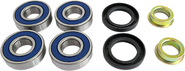 Rear Independent Suspension Repair Kit