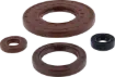 Oil Seal Set