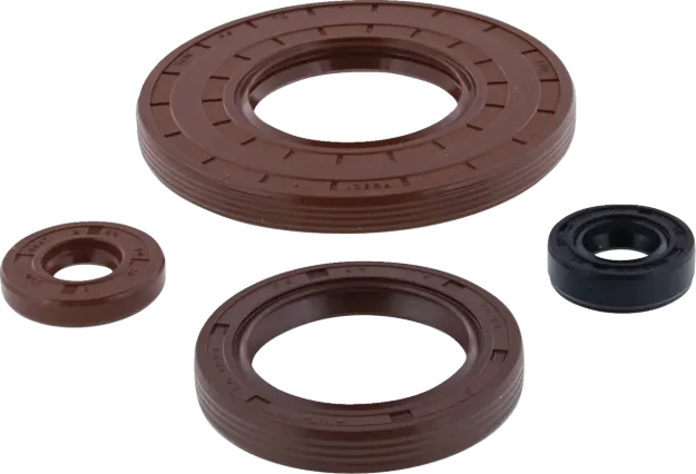 Oil Seal Set
