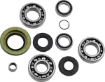 Differential Bearing/Seal Kit