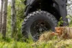 26X Wheel