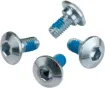 Rotor Bolt Kit